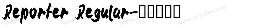 Reporter Regular字体转换